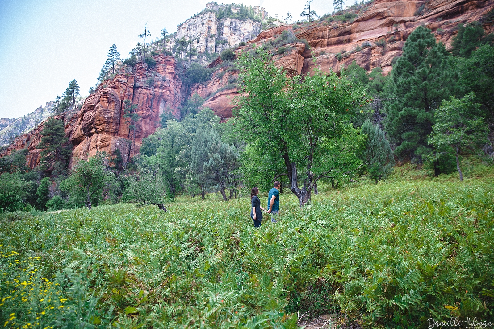Engaged couple sitting in a field of ferns in an apple orchard with Sedona red rocks in the background